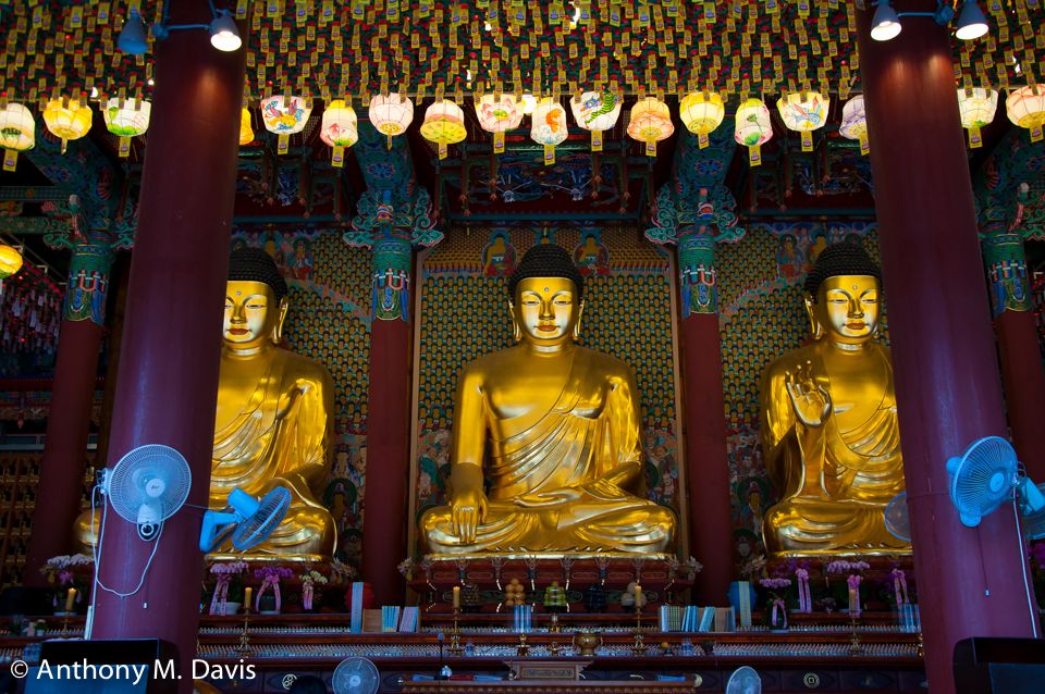 Inside the Buddhist Temple