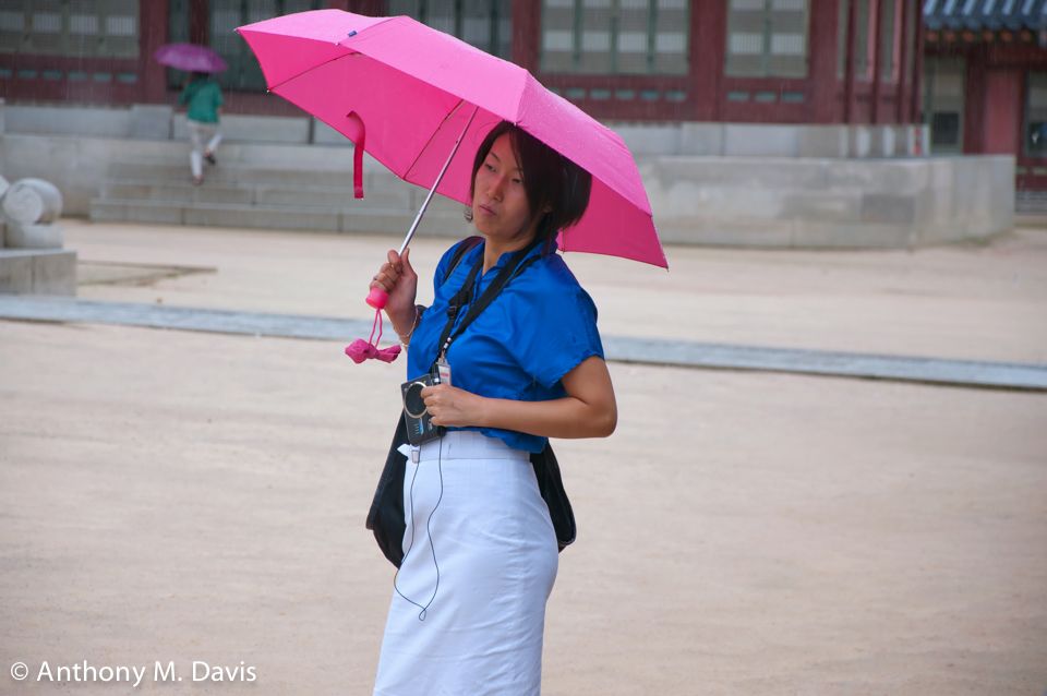 Korean Woman in the Rain