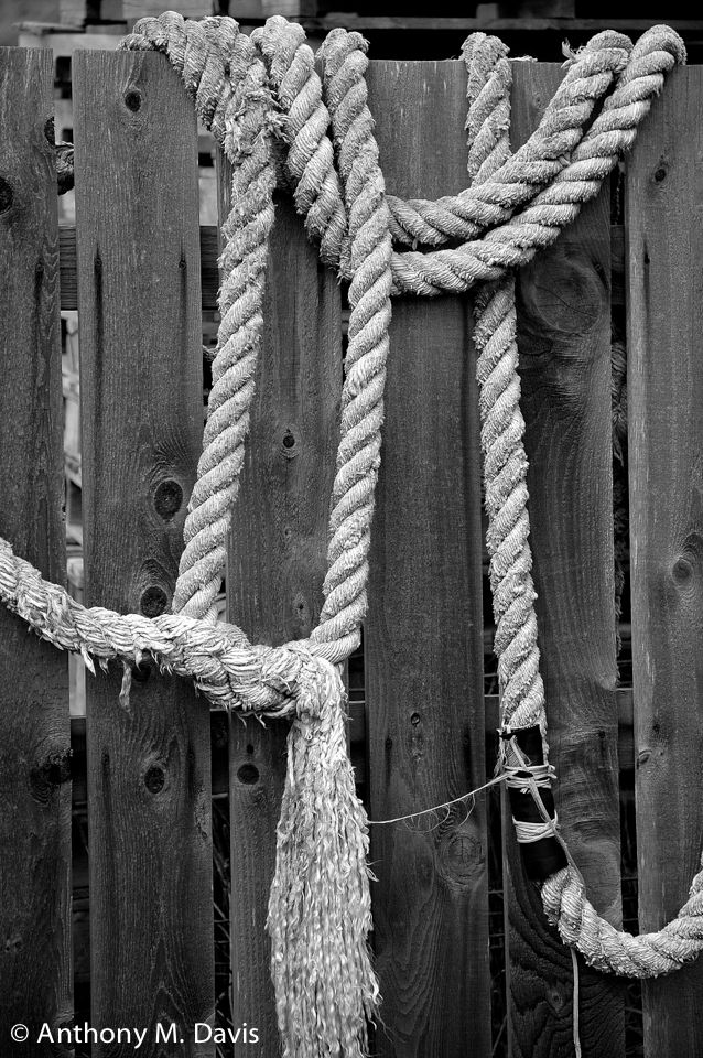 Rope on the Fence